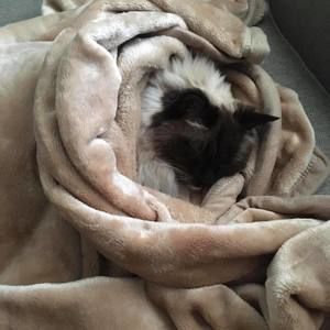 Meet your Posher, Brooke